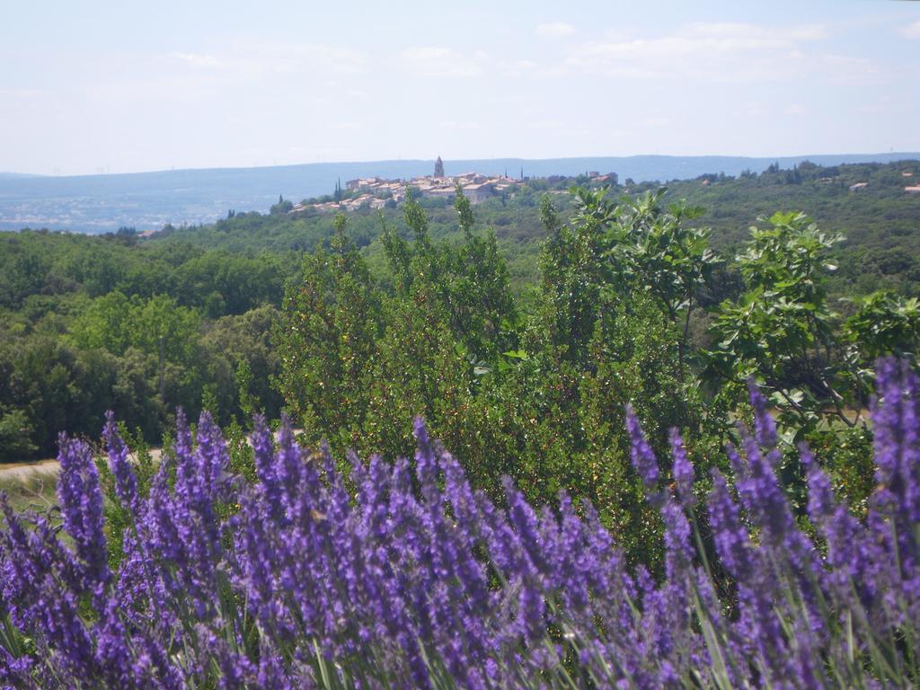 Les Esplanes La Garde-Adhémar Exterior foto